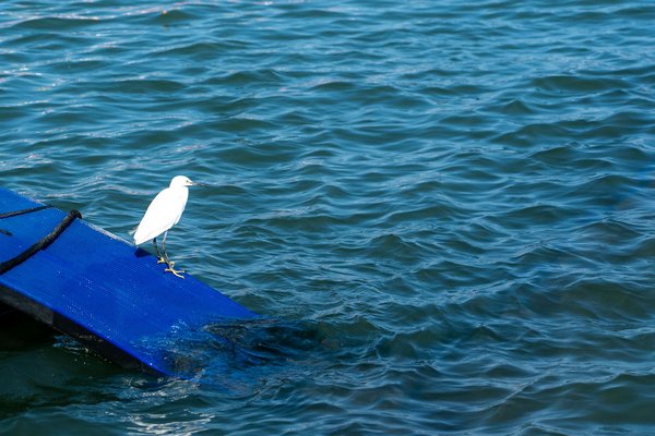 HIIT vs. cardio traditionnel pour la perte de poids : que choisir?